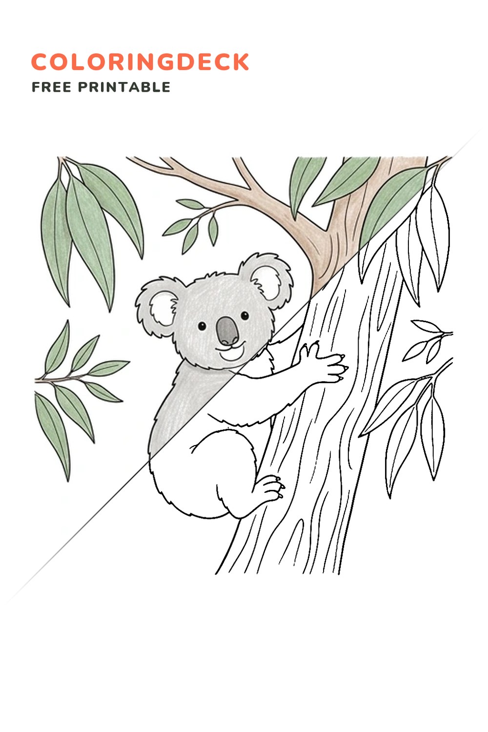 Koala Tree Climb coloring page, free printable: half colored, half outline