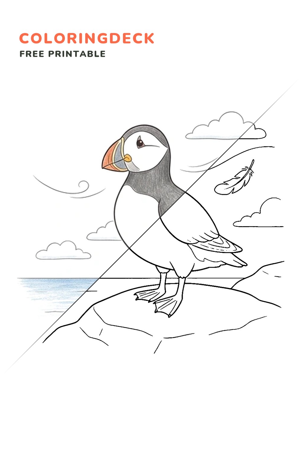 Puffin Feather Breeze coloring page, free printable: half colored, half outline