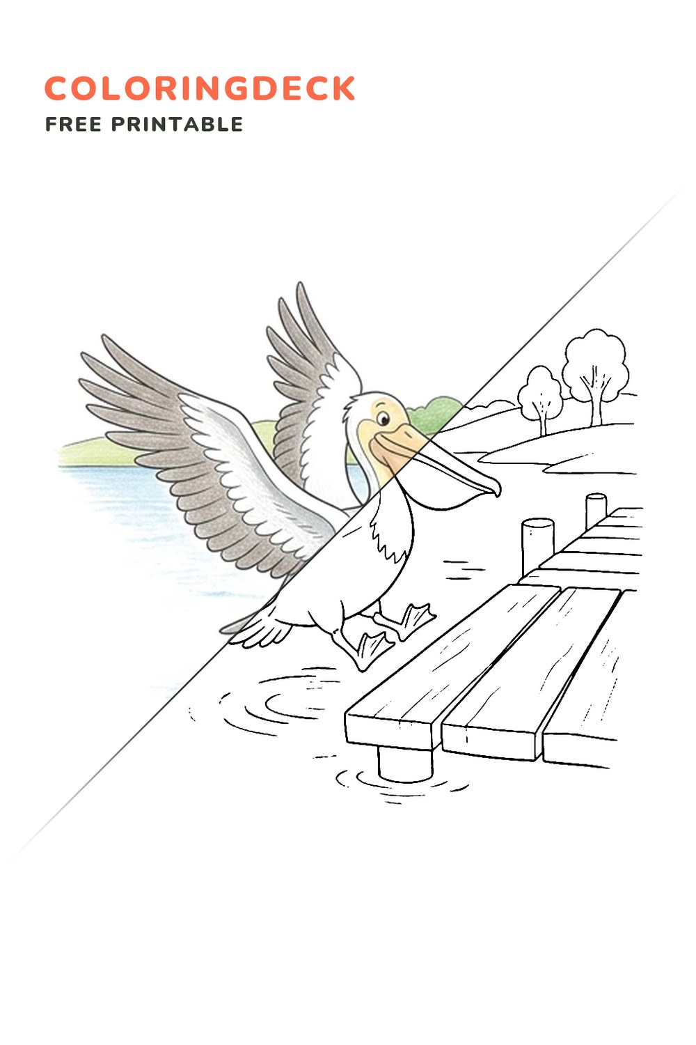Pelican Dock Landing coloring page, free printable: half colored, half outline