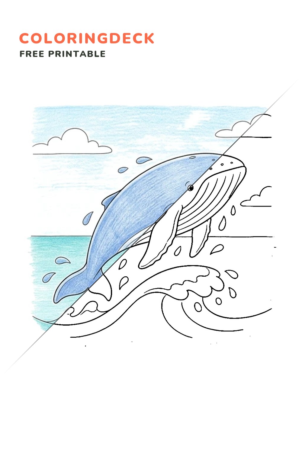 Humpback Whale Breach coloring page, free printable: half colored, half outline