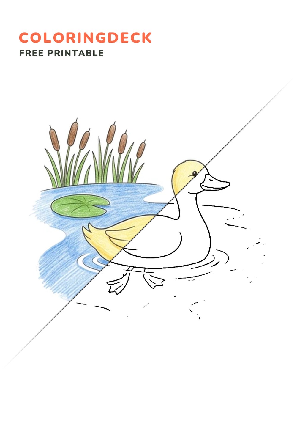 Duck Pond Paddle coloring page, free printable: half colored, half outline