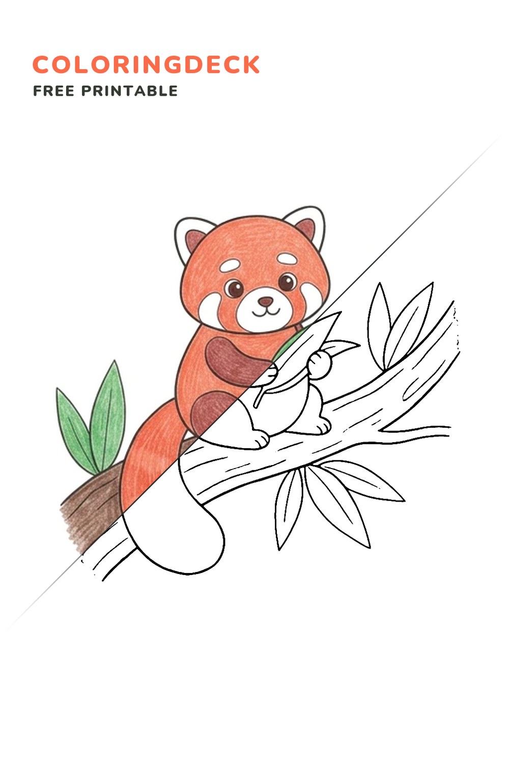Red Panda Bamboo Snack coloring page, free printable: half colored, half outline