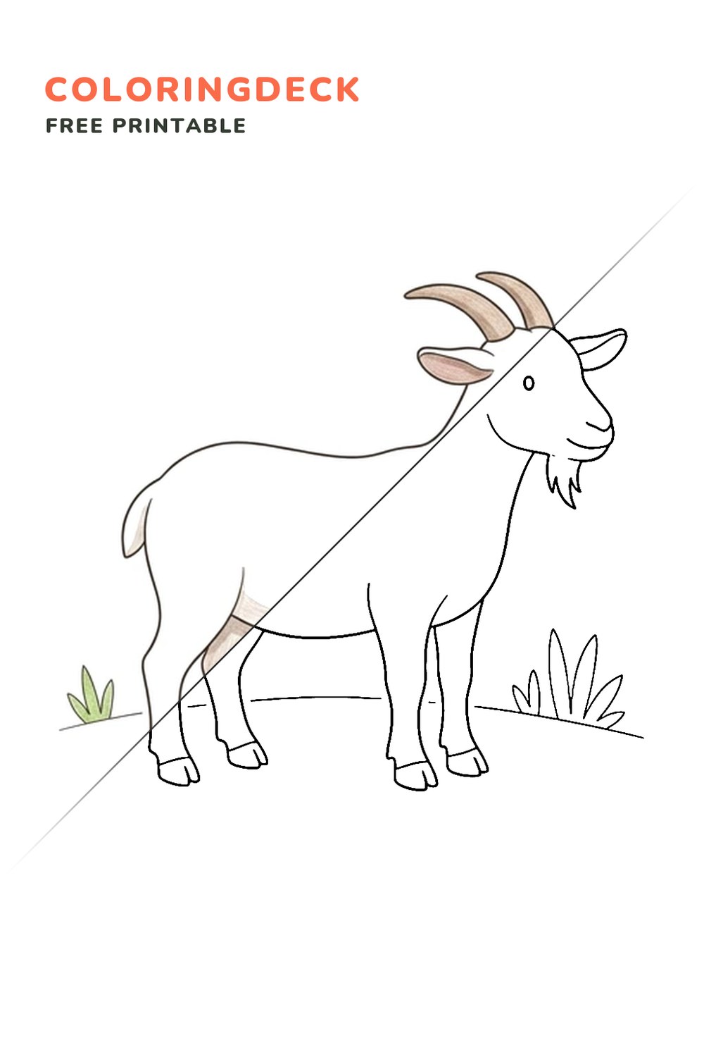 Friendly Farm Goat coloring page, free printable: half colored, half outline