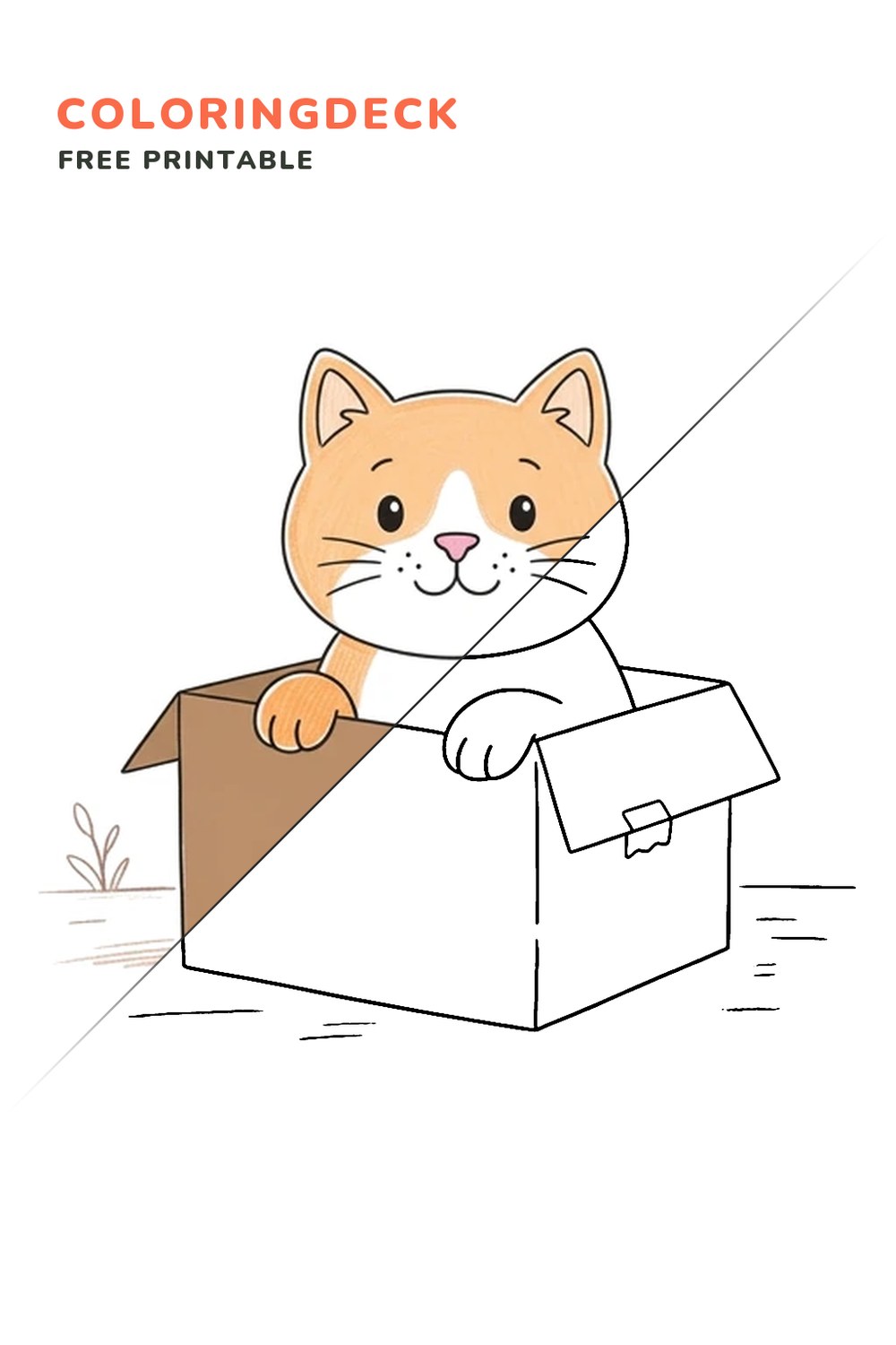 Cat In Box coloring page, free printable: half colored, half outline