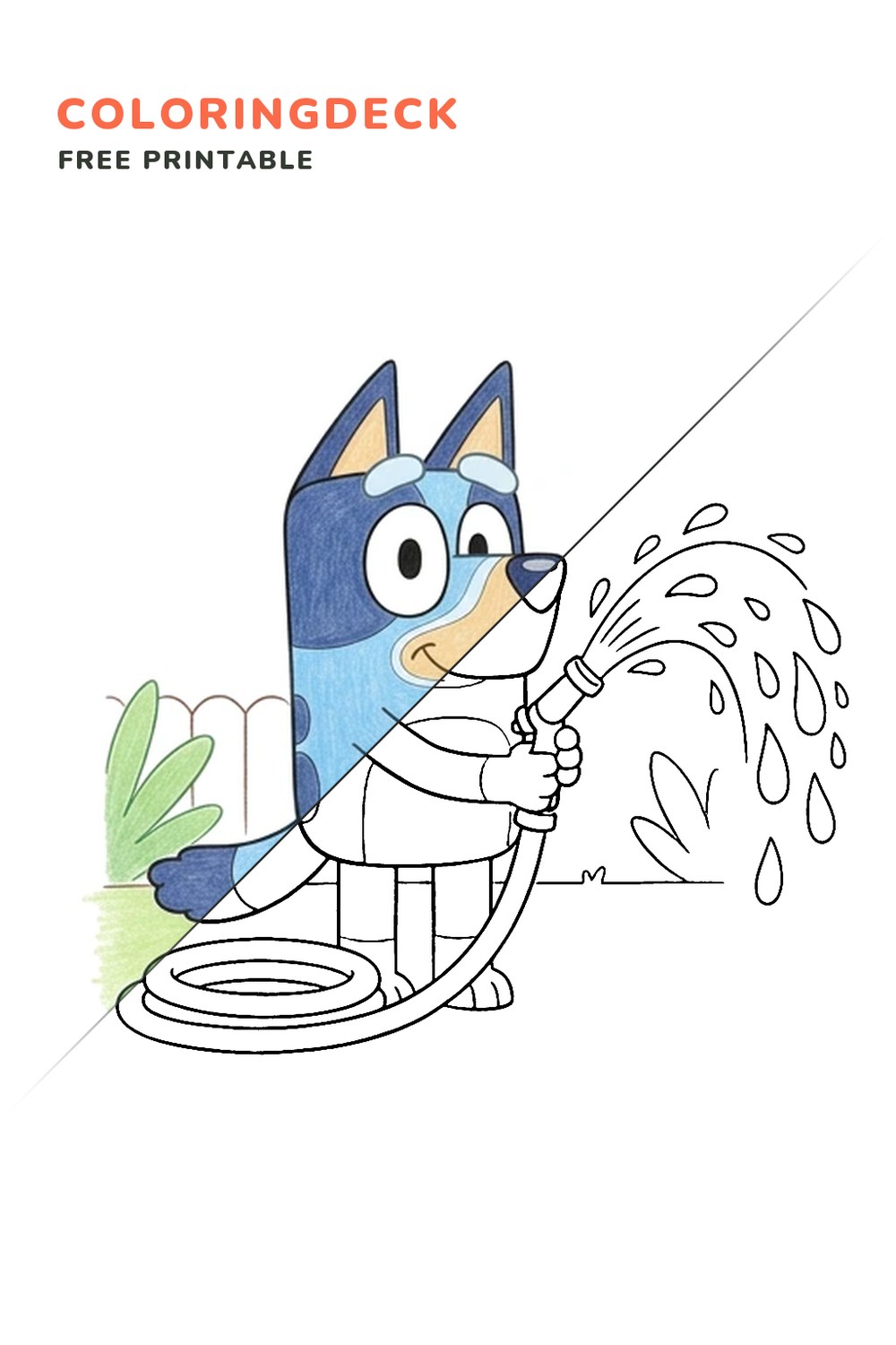 Bluey Garden Hose coloring page, free printable: half colored, half outline