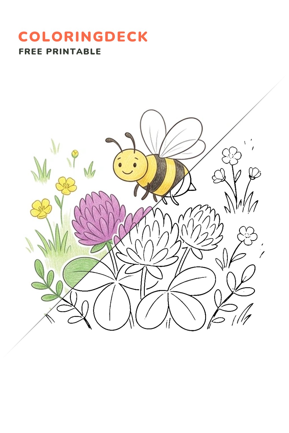 Honeybee Clover Visit coloring page, free printable: half colored, half outline