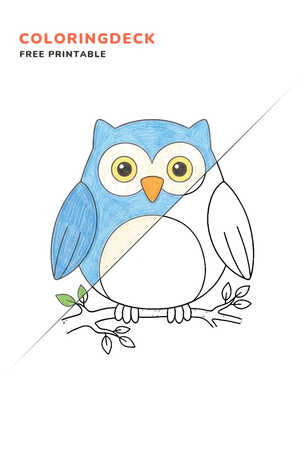 Sleepy Owl Branch coloring page, free printable: half colored, half outline