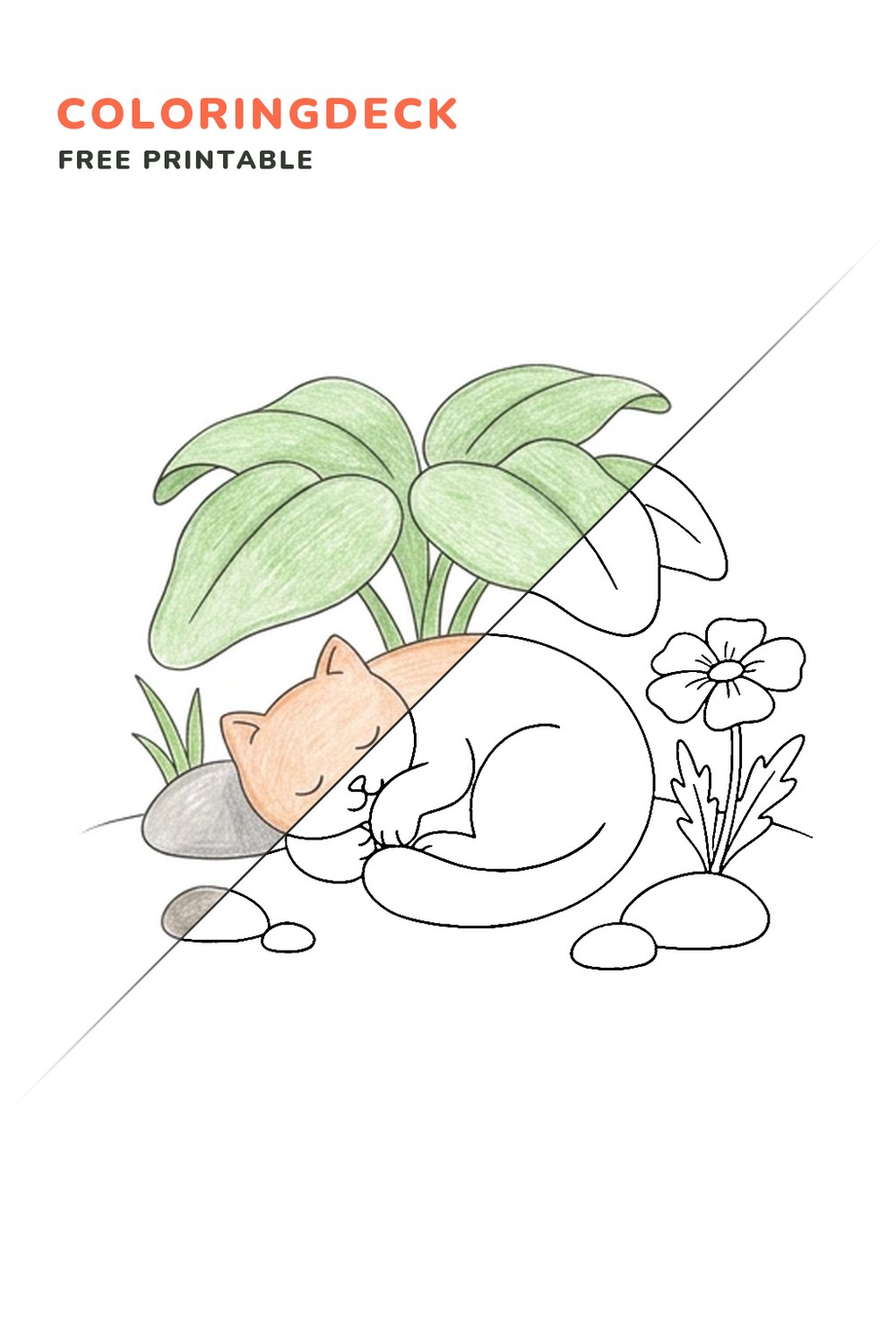 Cat Garden Nap coloring page, free printable: half colored, half outline