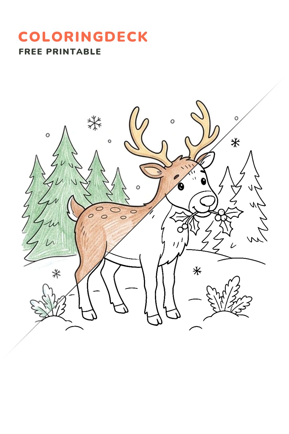 Reindeer Holly Snack coloring page, free printable: half colored, half outline