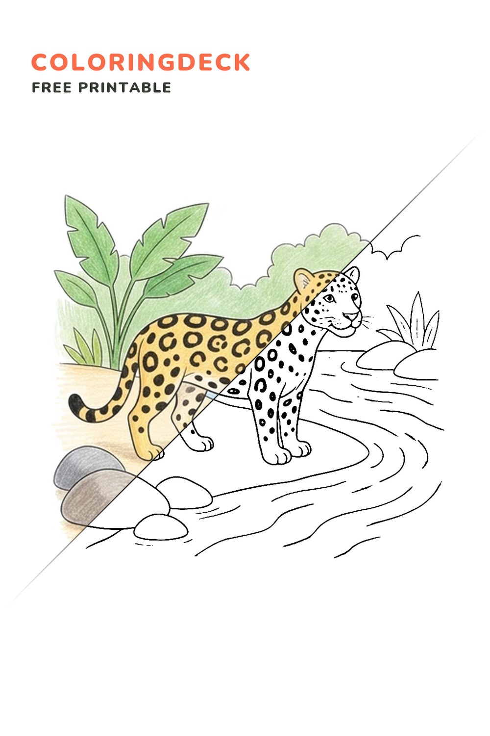 Jaguar River Stones coloring page, free printable: half colored, half outline