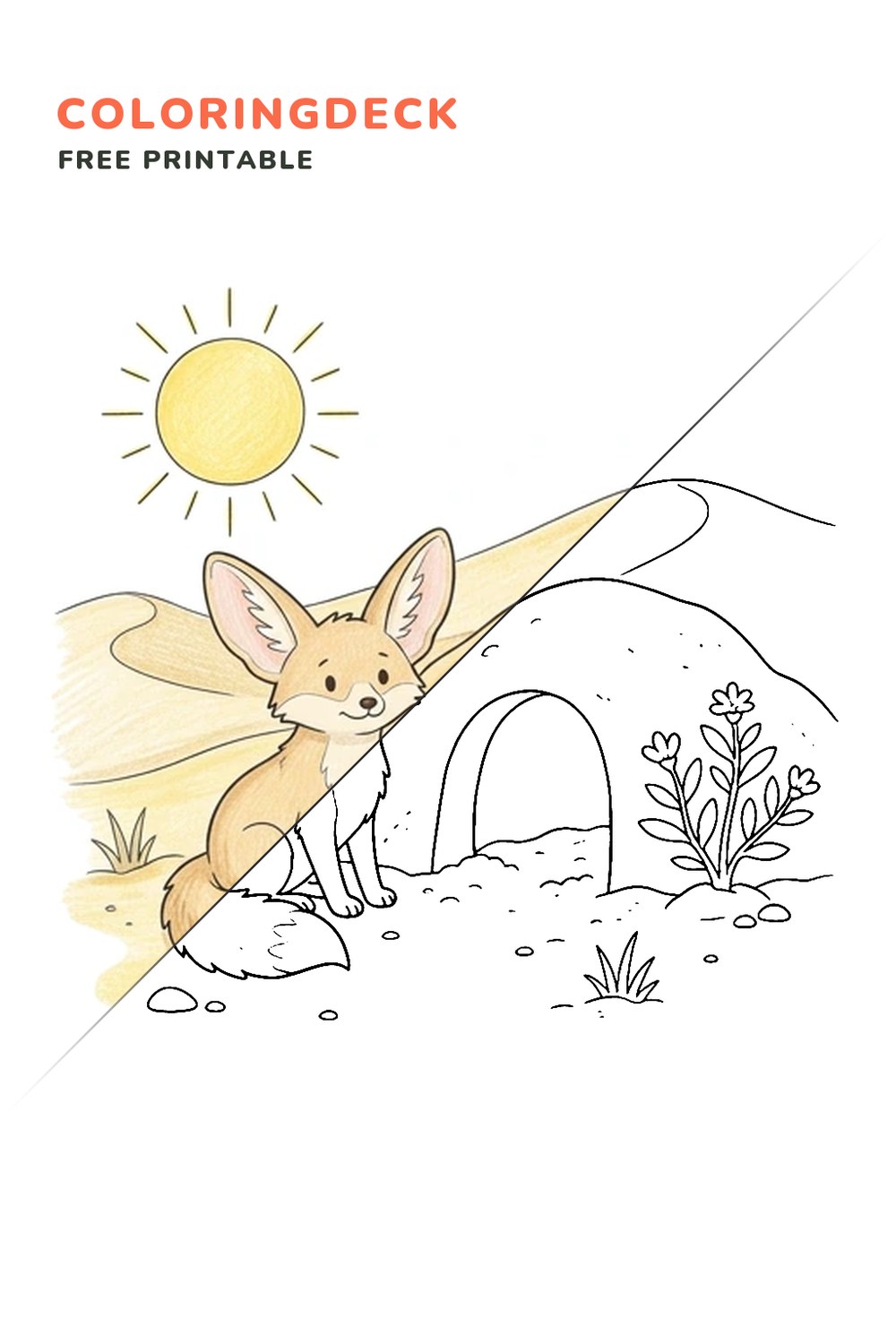 Fennec Fox Burrow coloring page, free printable: half colored, half outline