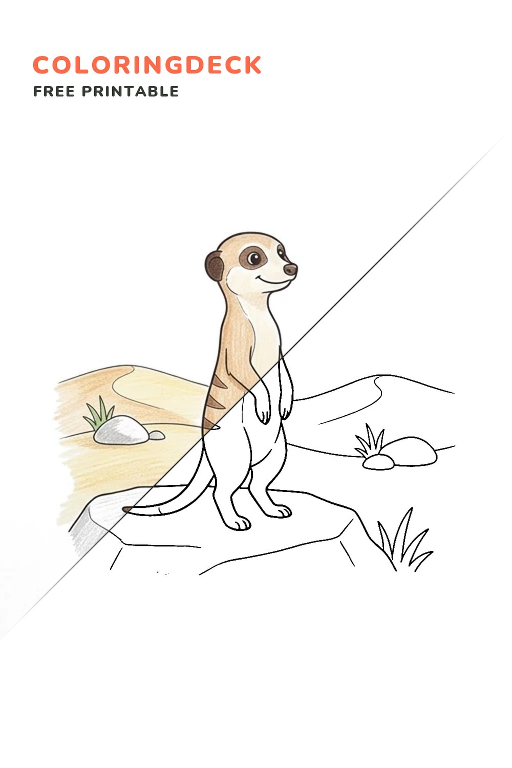 Meerkat Lookout Rock coloring page, free printable: half colored, half outline