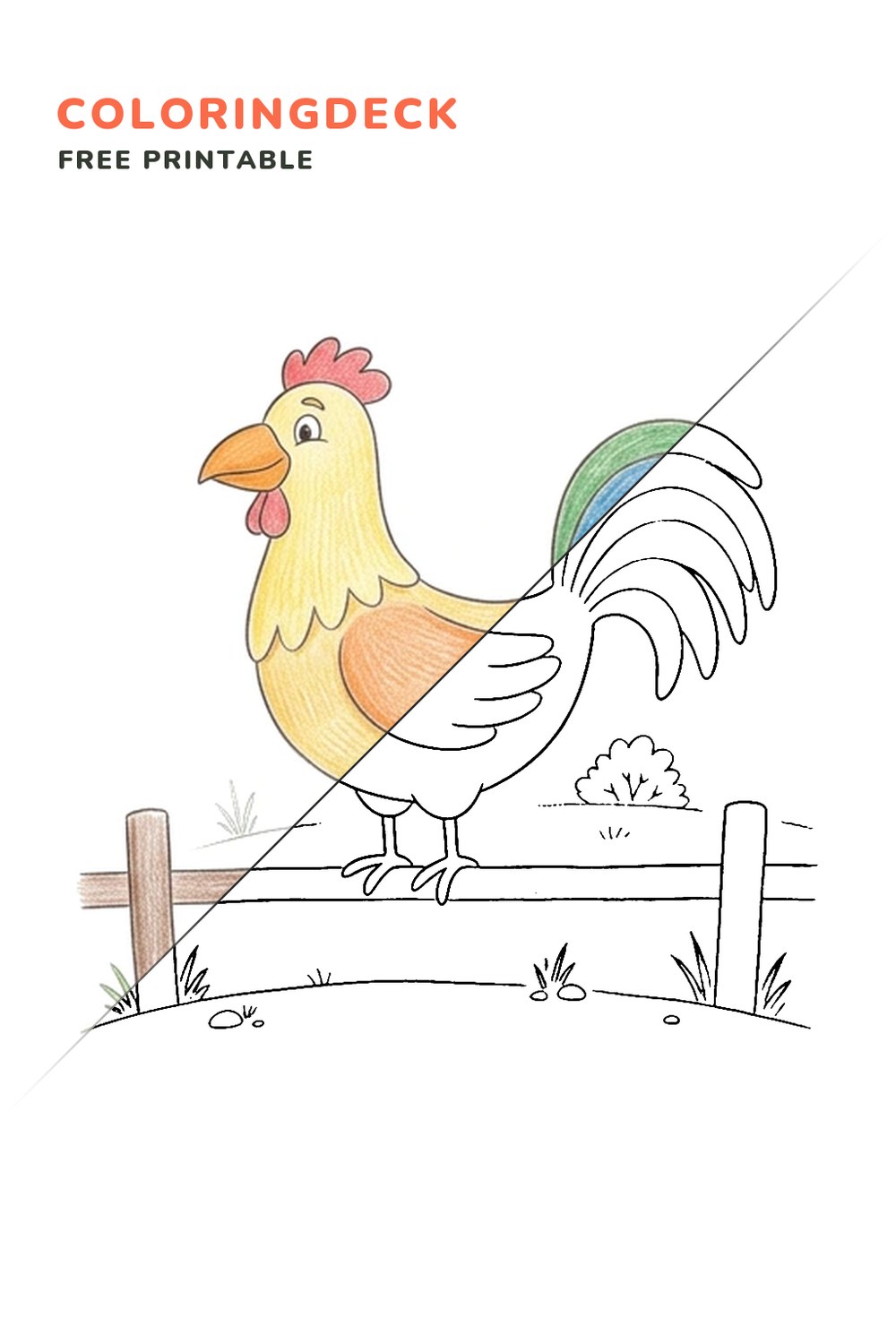Rooster On Fence coloring page, free printable: half colored, half outline