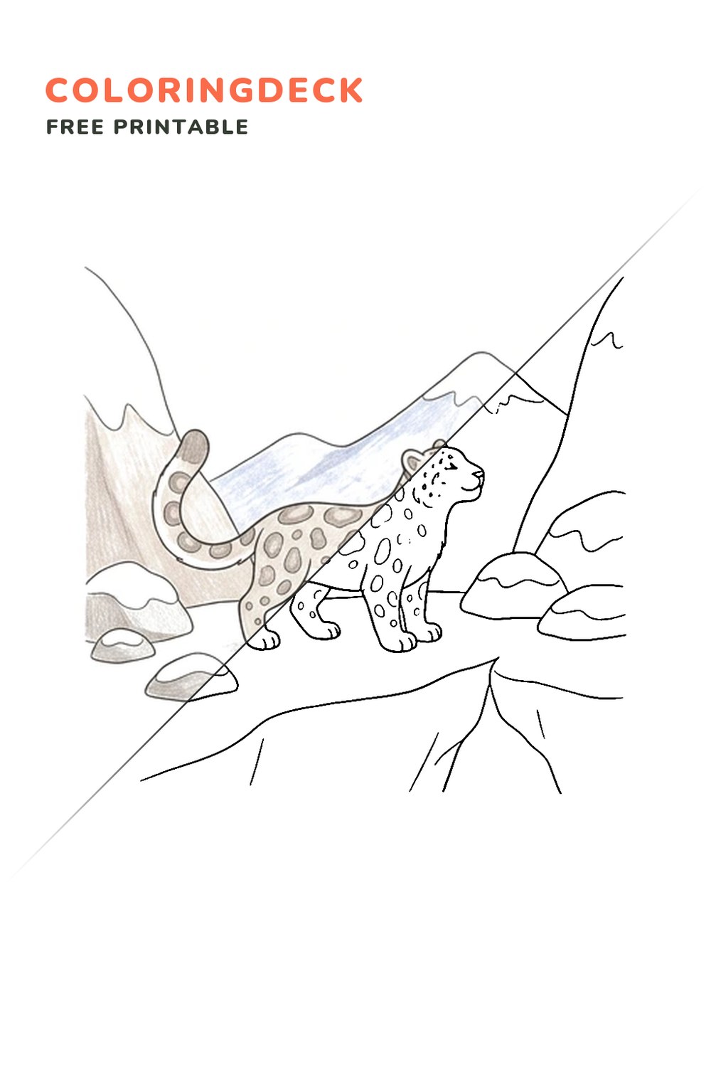 Snow Leopard Ledge coloring page, free printable: half colored, half outline