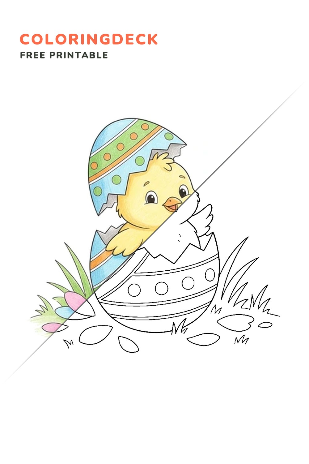 Chick Egg Hatch coloring page, free printable: half colored, half outline