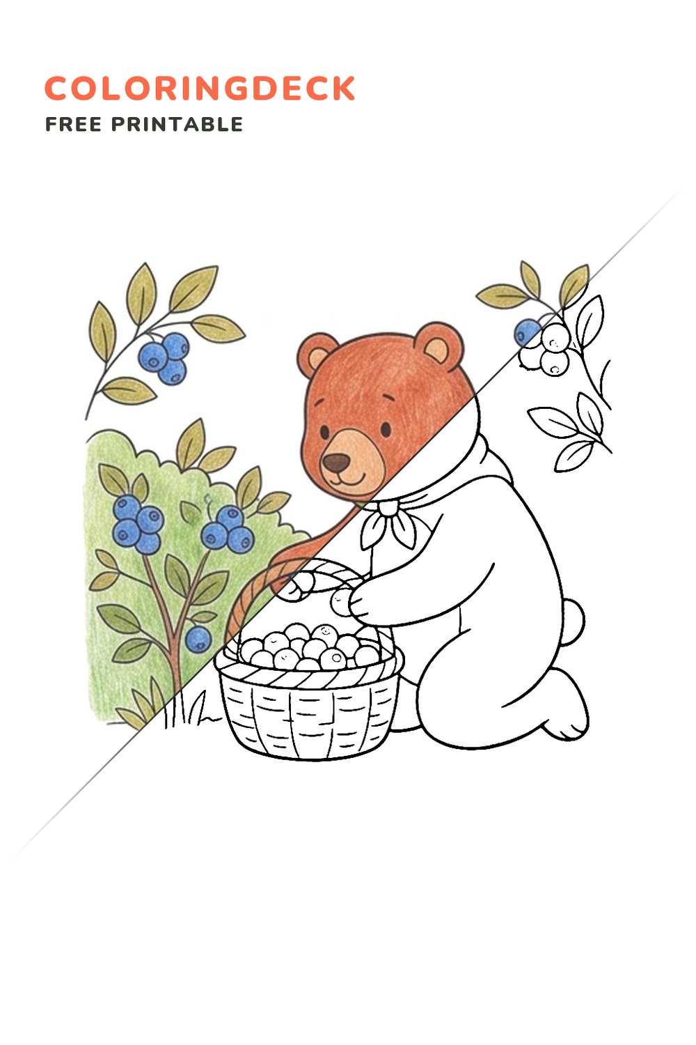 Bear Berry Basket coloring page, free printable: half colored, half outline