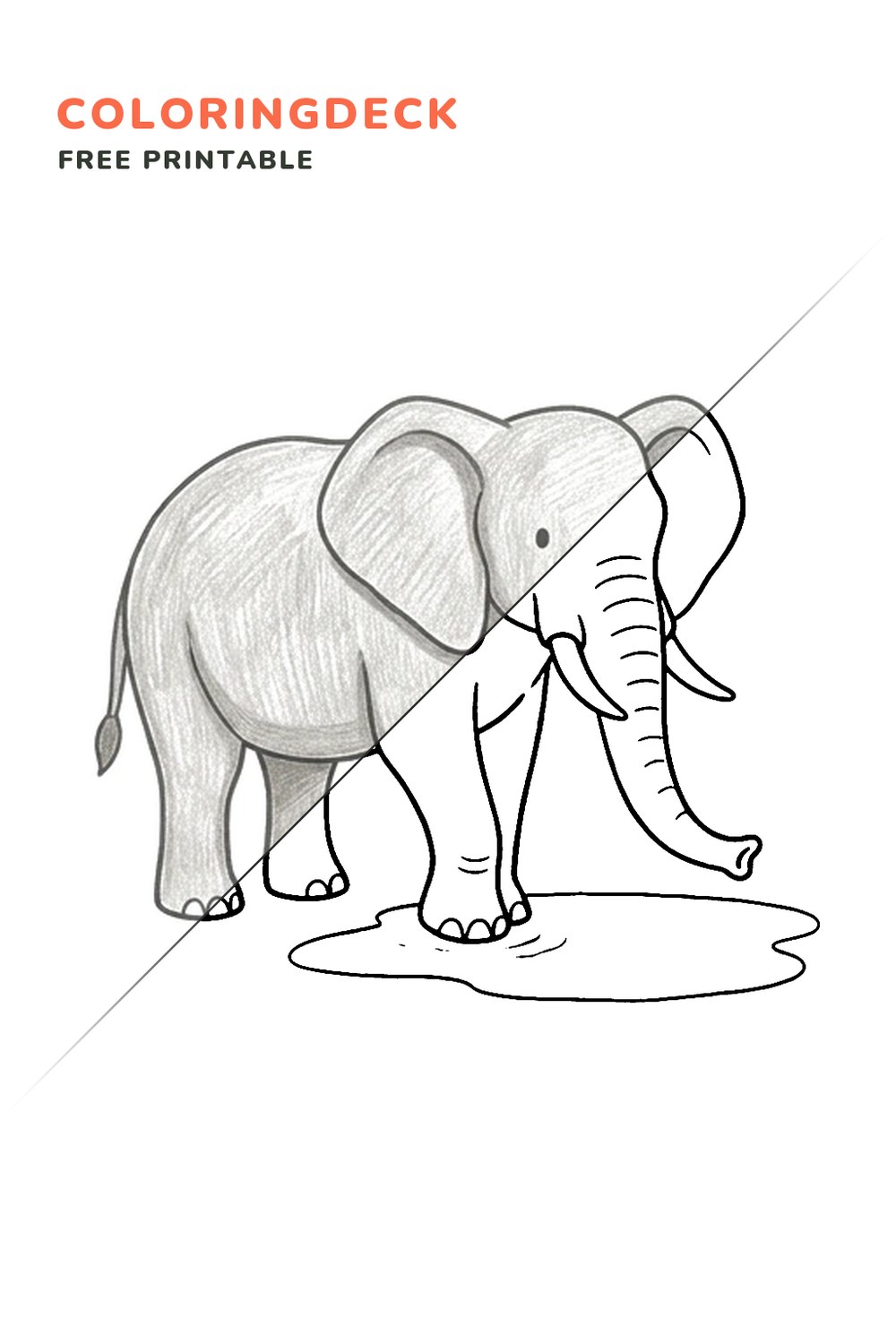 Elephant Puddle Step coloring page, free printable: half colored, half outline