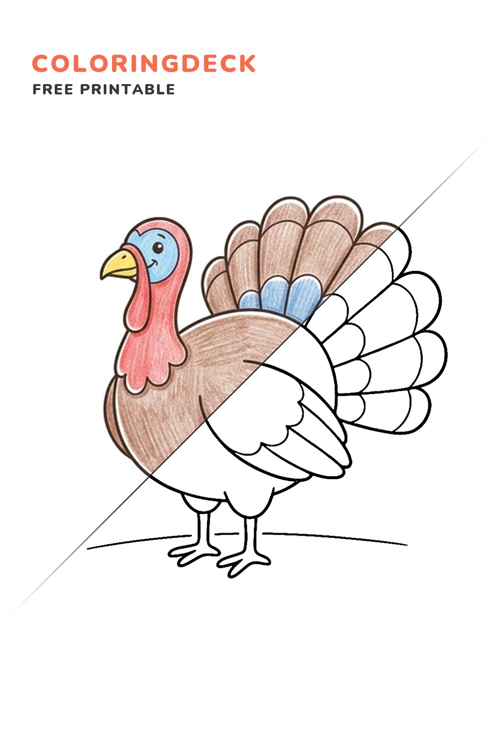 Turkey Feather Fan coloring page, free printable: half colored, half outline