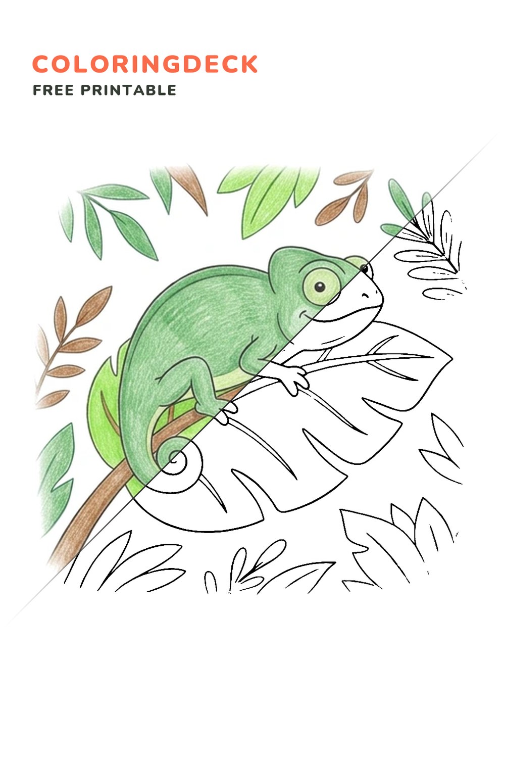 Chameleon Leaf Hideout coloring page, free printable: half colored, half outline