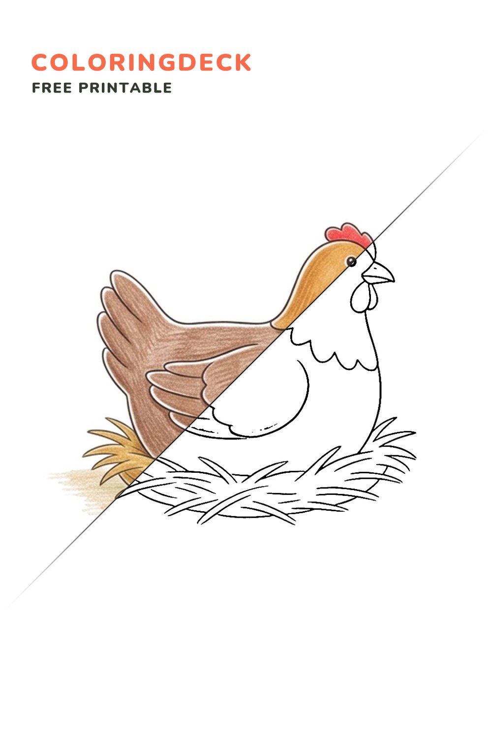 Hen Nest Rest coloring page, free printable: half colored, half outline