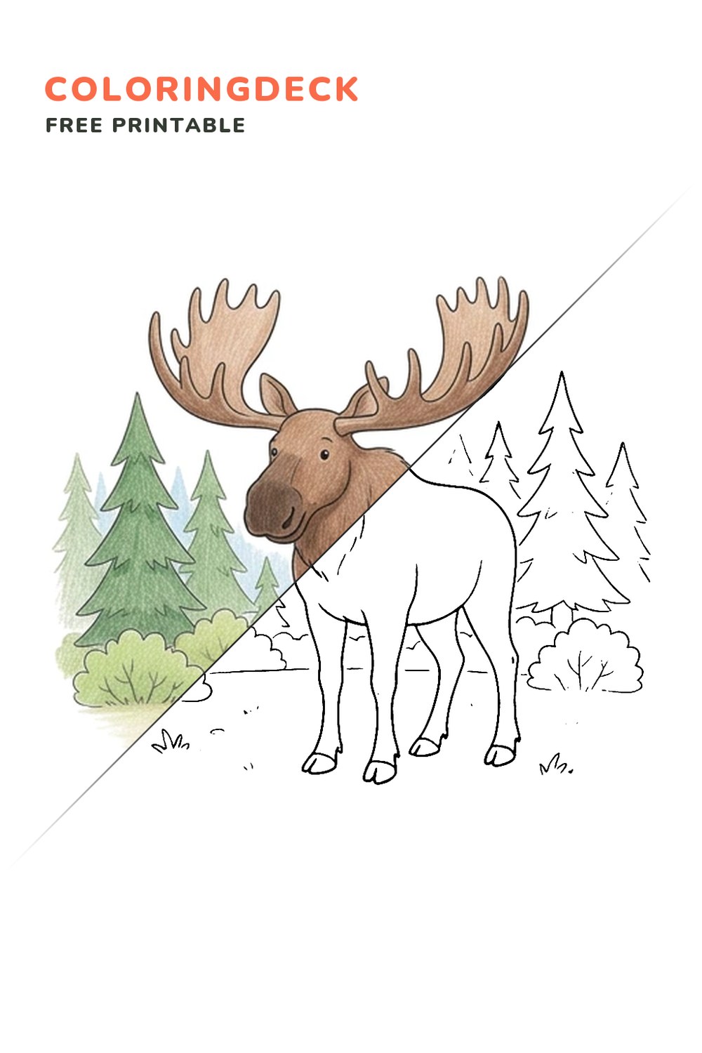 Moose Pine Clearing coloring page, free printable: half colored, half outline