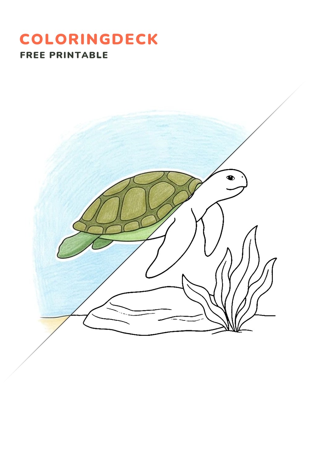 Sea Turtle Tank coloring page, free printable: half colored, half outline