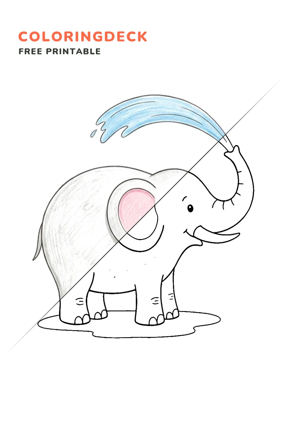 Elephant Water Spray coloring page, free printable: half colored, half outline