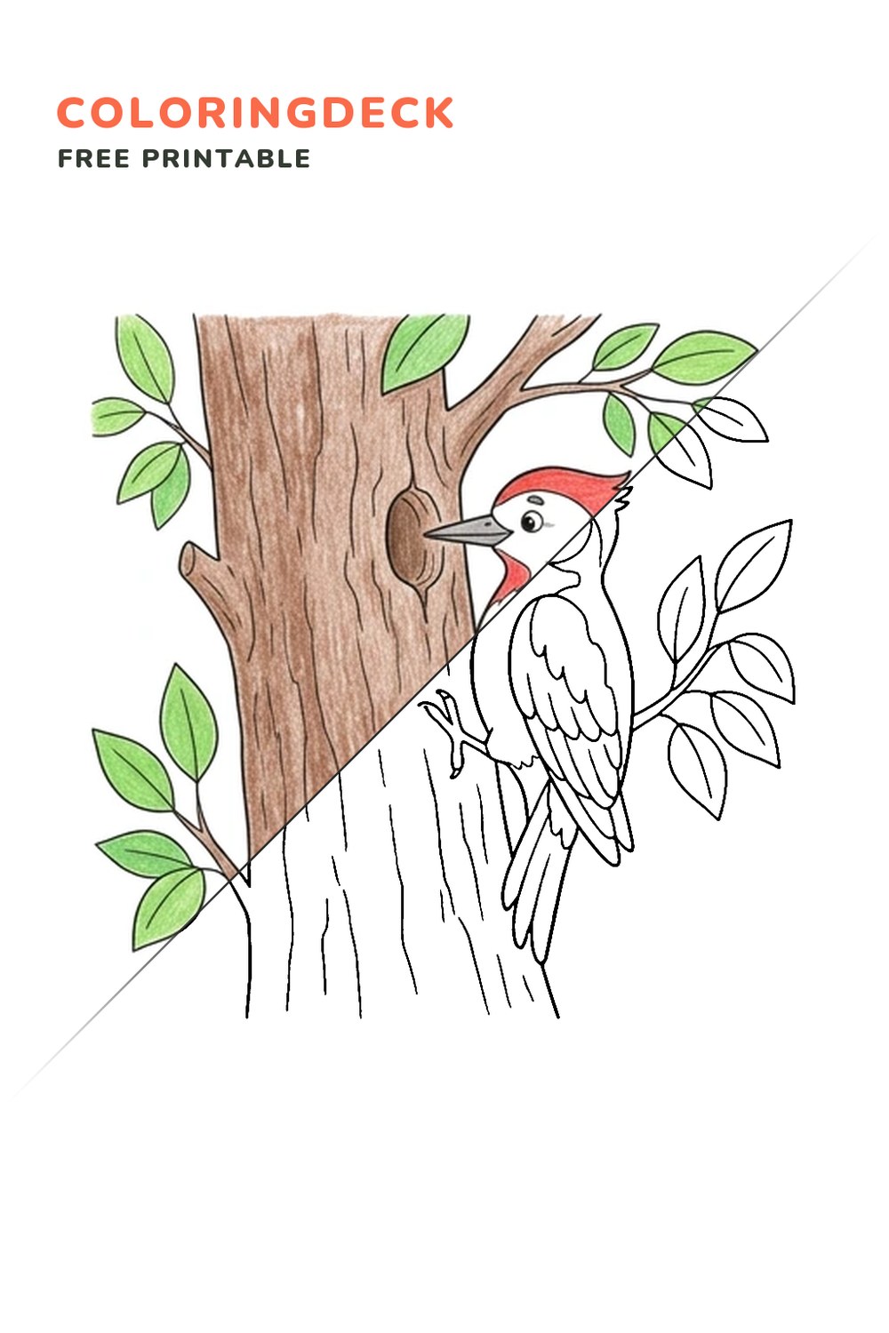 Woodpecker Tree Tap coloring page, free printable: half colored, half outline
