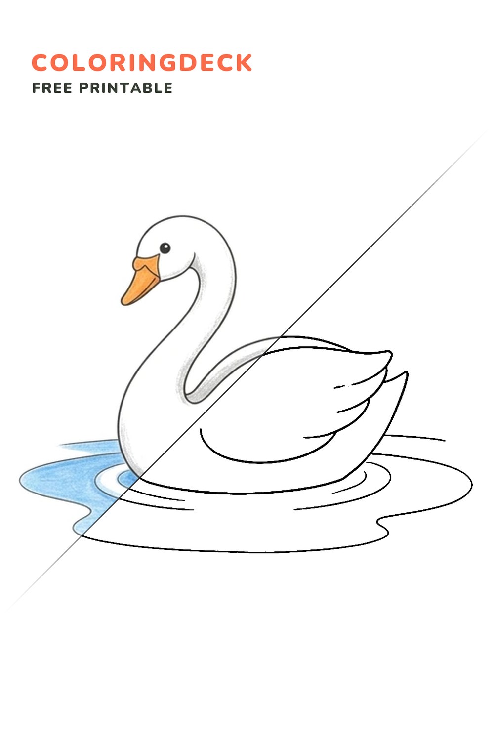 Swan Pond Float coloring page, free printable: half colored, half outline