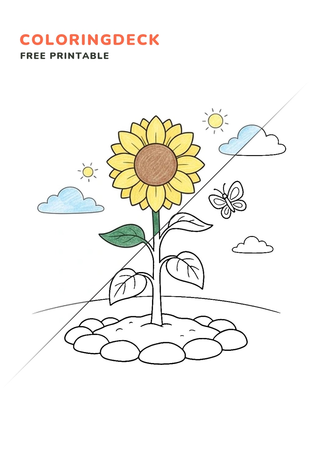 Sunflower Garden coloring page, free printable: half colored, half outline