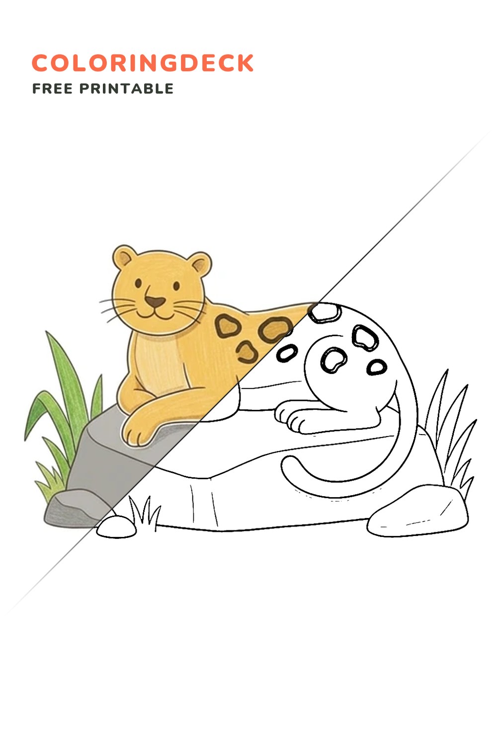 Leopard Resting Rock coloring page, free printable: half colored, half outline