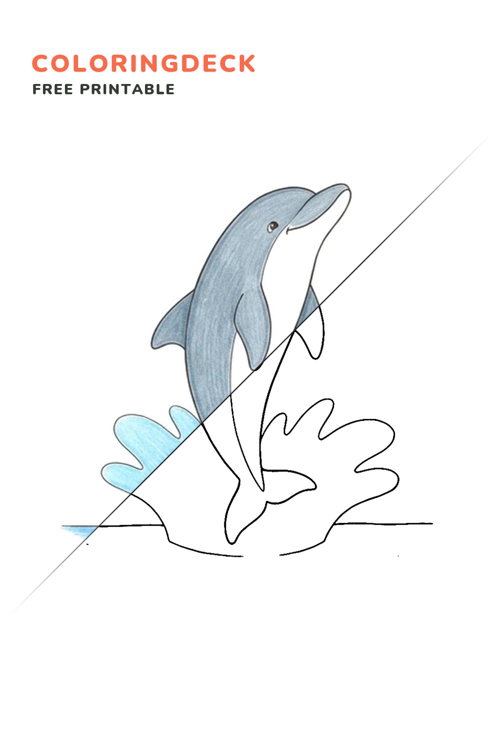 Dolphin Tail Splash coloring page, free printable: half colored, half outline