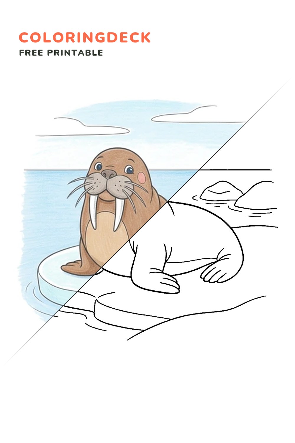 Walrus Ice Rest coloring page, free printable: half colored, half outline