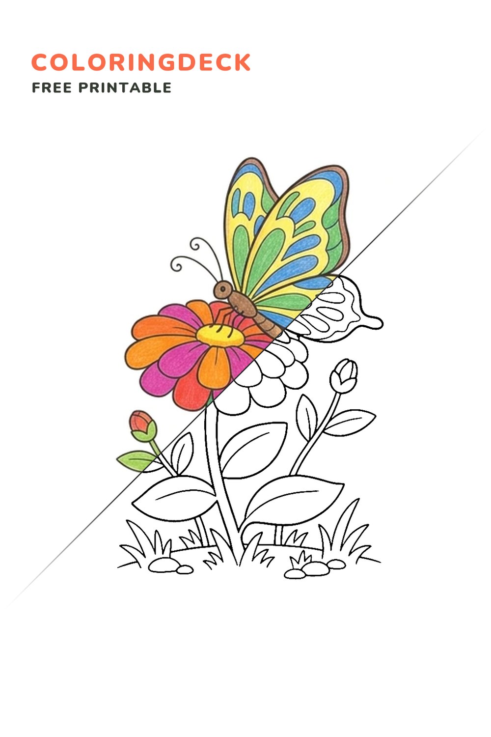 Butterfly Zinnia Rest coloring page, free printable: half colored, half outline