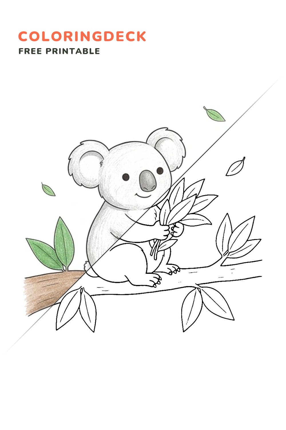 Koala Eucalyptus Snack coloring page, free printable: half colored, half outline