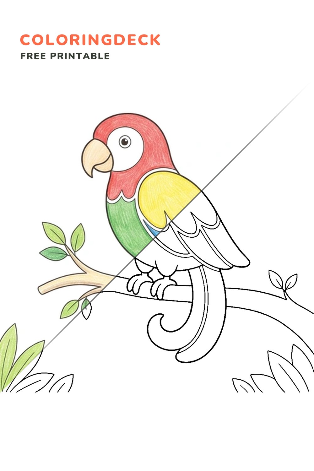 Parrot On Branch coloring page, free printable: half colored, half outline