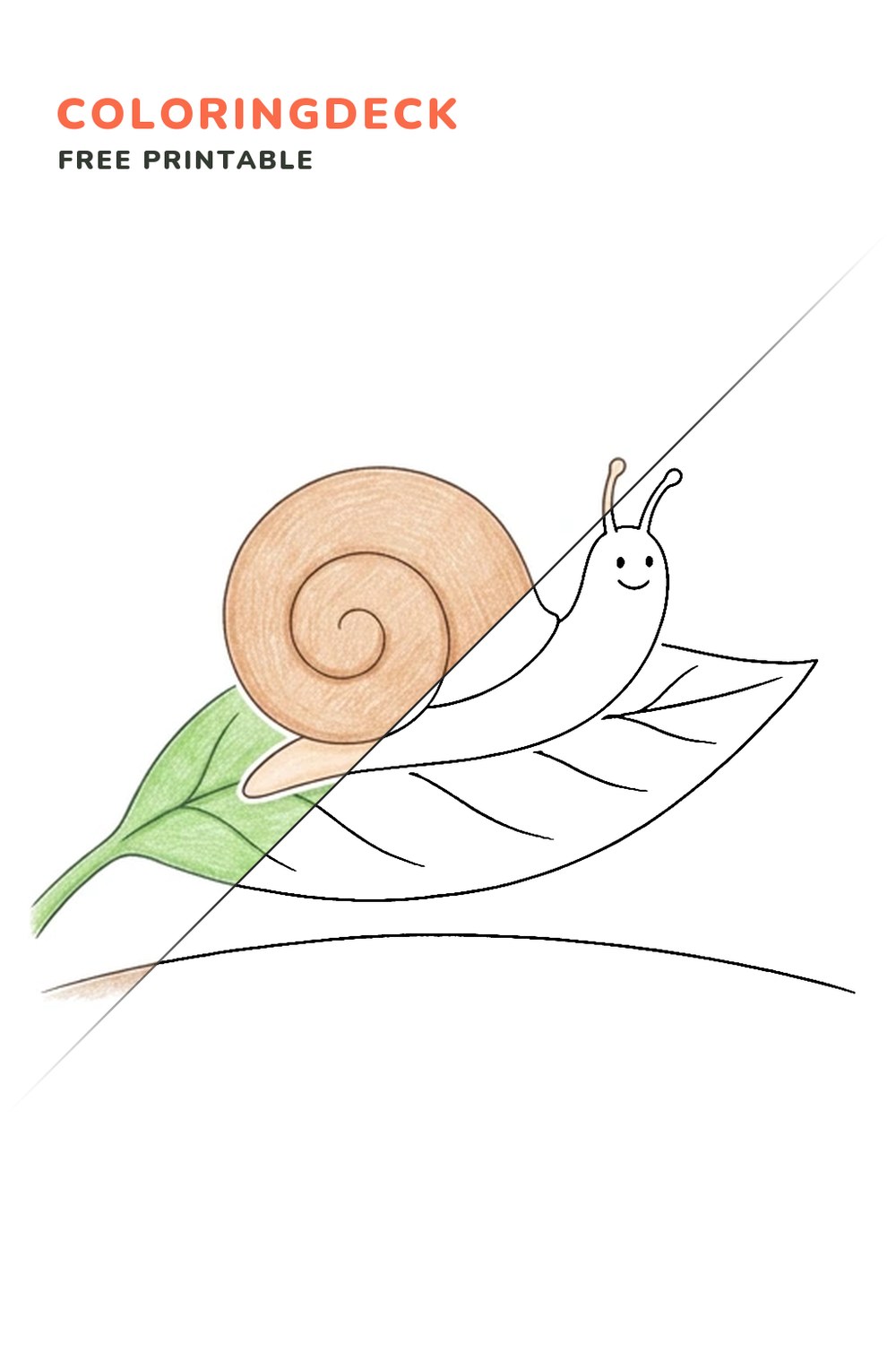 Snail Garden Crawl coloring page, free printable: half colored, half outline