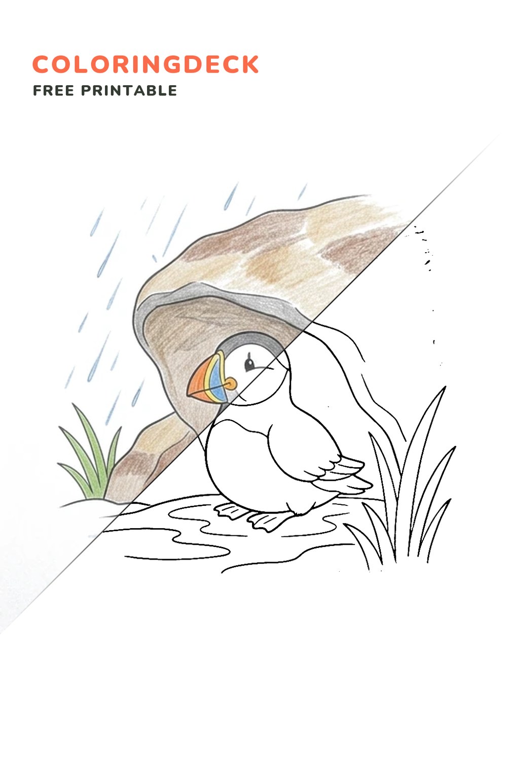 Puffin Rain Shelter coloring page, free printable: half colored, half outline