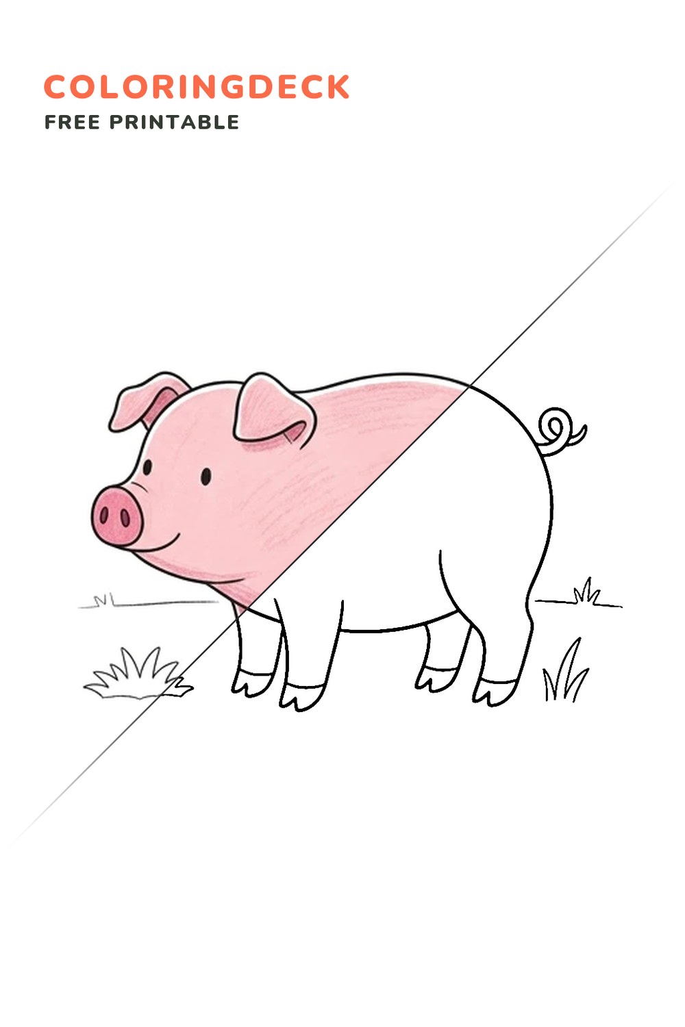Simple Farm Pig coloring page, free printable: half colored, half outline