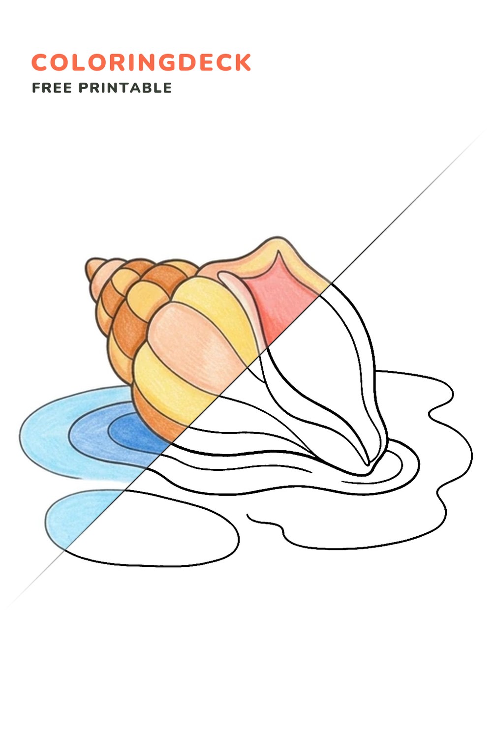 Shell Tide Pool coloring page, free printable: half colored, half outline