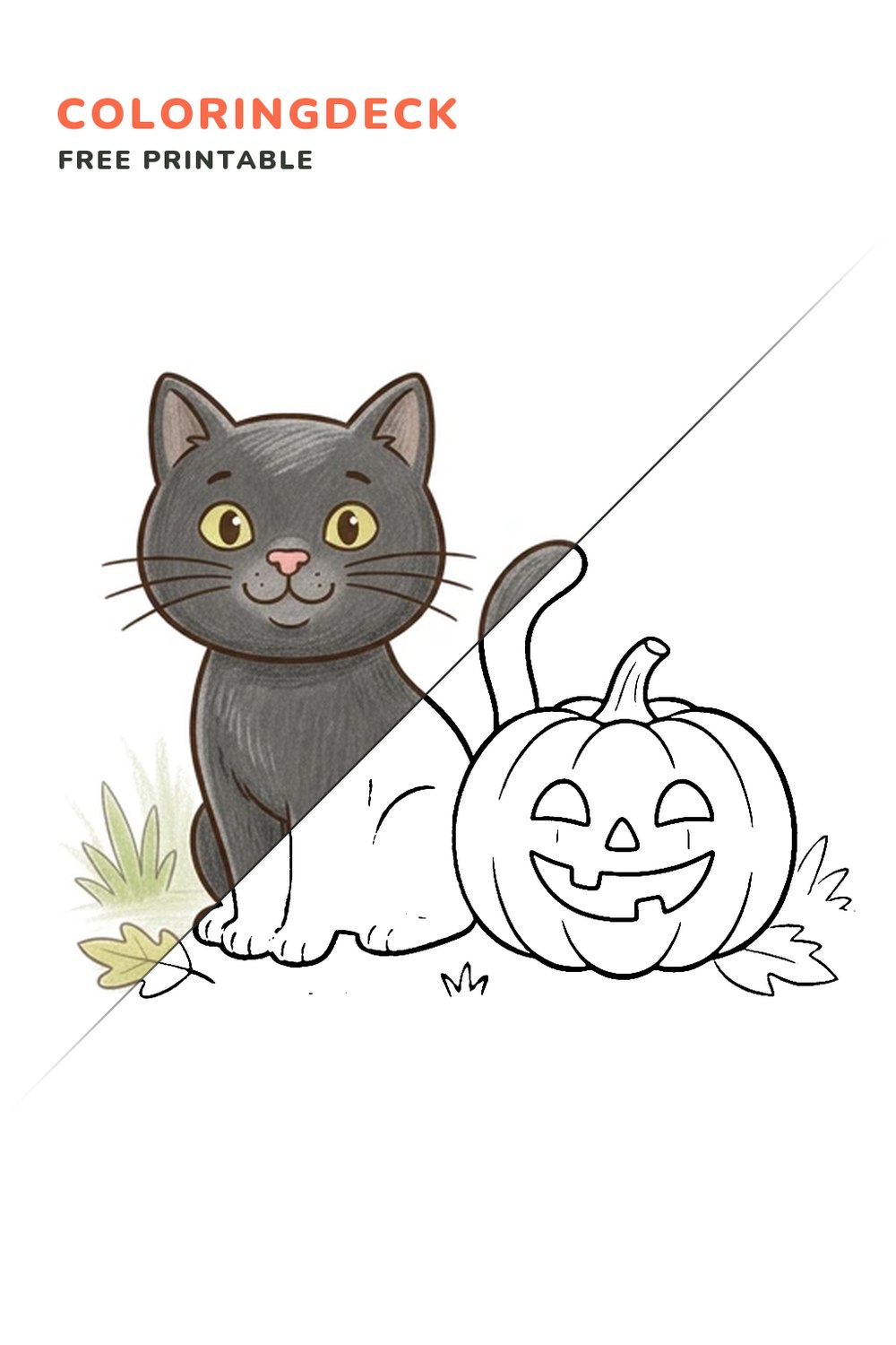 Black Cat Pumpkin coloring page, free printable: half colored, half outline